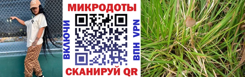 магазин Красный Кут Псилоцибиновые грибы мухоморы